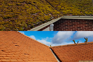 Nettoyage et démoussage à Bussy-Saint-Georges (77600) et en Seine-et-Marne (77)